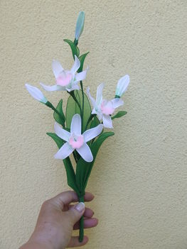 fehér orchidea szál