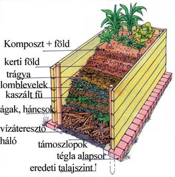 magaságy