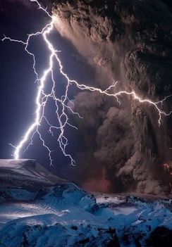 463