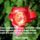 A_nap_orome_1844444_4709_t