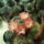 Dscf8663_1844167_1896_t