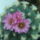 Dscf8670_1844158_1827_t