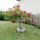 Kedvenc_rozsafam_1844102_2227_t