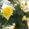 P5261281