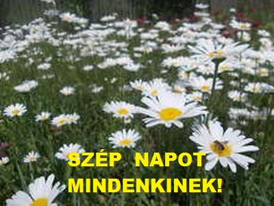 Szép napot!