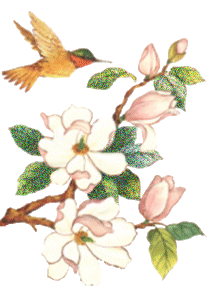repdeső madár rózsaszin virág