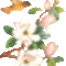 repdeső madár rózsaszin virág