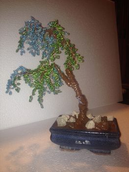 bonsai2