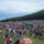 Dscf3391_1848192_9593_t