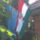 Dscf3403_1848202_3371_t