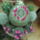 Dscf8712_1848241_2714_t