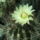 Dscf8738_1848240_8411_t