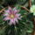 Dscf8741_1848237_8912_t