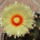 Dscf8751_1848242_8338_t