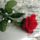 R6_1848422_8837_t