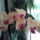 Sarga_pillango_orchidea_1849008_1072_t