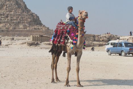 Egyiptom 2008 147