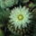 Dscf8872_1851830_7038_t