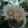 Dscf8878_1851832_8237_t