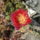 Dscf8901_1851841_7199_t