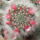 Dscf8907_1851836_7737_t