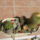 Dscf8909_1851840_3167_t