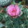 Dscf8912_1851837_2440_t
