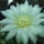 Dscf8914_1851835_6502_t