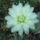 Dscf8917_1851844_6156_t