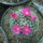 Dscf8921_1851843_2787_t