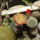 Dscf8928_1851838_3335_t