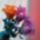 Eva_nyirtura_9_1851326_6620_t