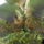 Szep_estet_1851521_8015_t