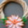 Quilling-084_1852332_3725_t