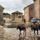 Ettore_roesler_franz_ed_i_suoi_dipinti_su_roma2_1853546_8987_t