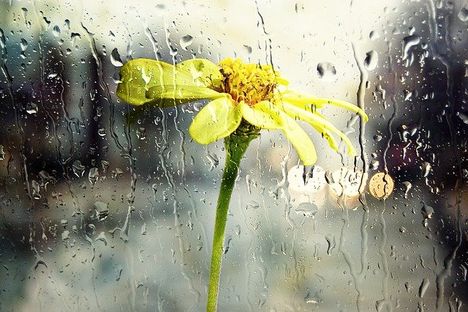 Aranyosi Ervin: Esőcsepp – gondolatok
