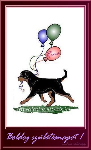 Rottweiler Születésnap Képeslap
