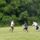 201406-054_1855442_1380_t