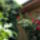 20140629_123451_1855375_1790_t