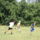 Dsc05824_1855095_5480_t