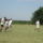 Dsc05827_1855107_8686_t
