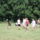 Dsc05835_1855106_9096_t