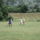 Dsc05865_1855217_9070_t
