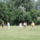 Dsc05880_1855223_8204_t