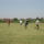 Dsc05882_1855207_5173_t