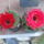 Dscf9015_1855678_6180_t