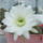 Dscf9067_1855679_6639_t