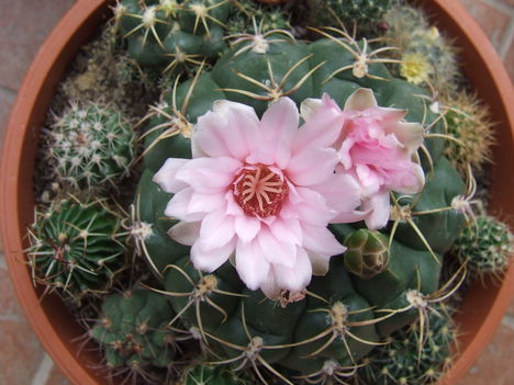 DSCF9077