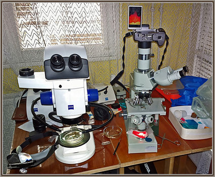 Mikroszkópos munkaasztalom - munka közben..