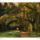 Munkacsy_mihaly__a_colpachi_park_1857509_2042_t